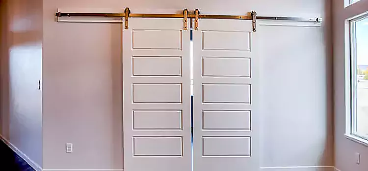 Glass Barn Door with Installation Hardware Kit Deltona