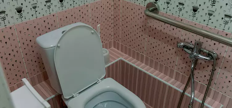 Meeting Diverse Needs With Accessible Restroom Solutions in Deltona, FL